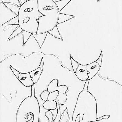 Katzen Sonne